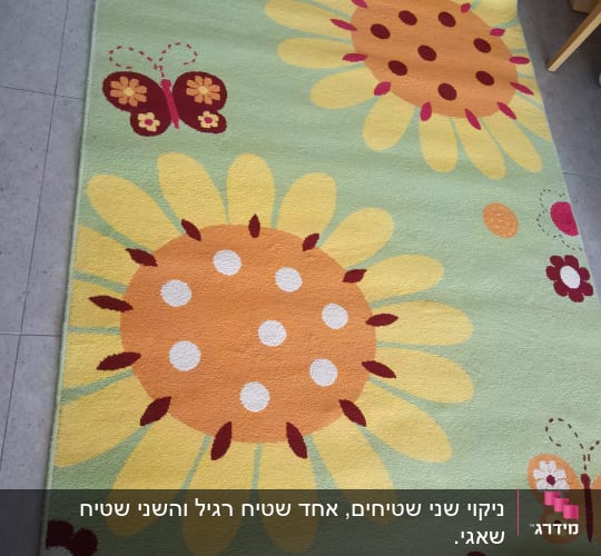 שטיח עם פרחים ופרפרים על רצפה
